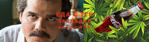 спиды Ельня