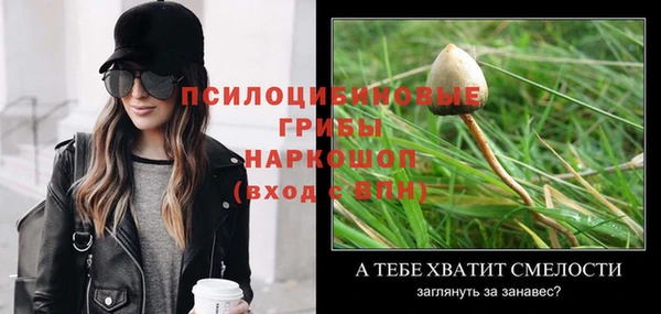 твердый Новокубанск