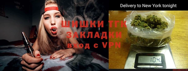 гидра Белая Холуница